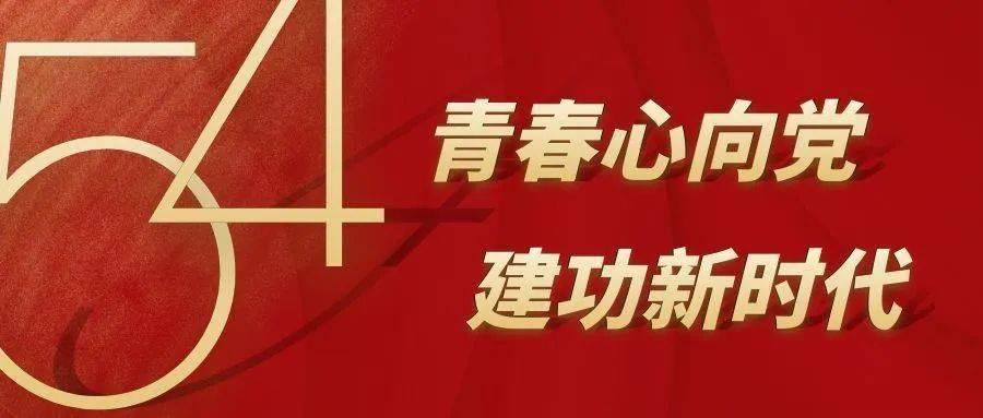 老白茶买好了，茶具备齐了，怎么煮茶才好喝？记住这些就够了